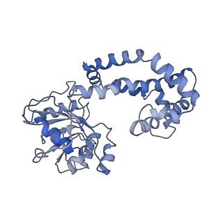 9801_6jd1_F_v1-1
Cryo-EM Structure of Sulfolobus solfataricus ketol-acid reductoisomerase (Sso-KARI) in complex with Mg2+, NADH, and CPD at pH7.5