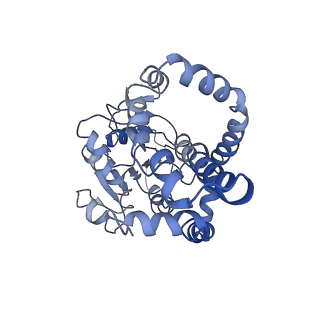9801_6jd1_G_v1-1
Cryo-EM Structure of Sulfolobus solfataricus ketol-acid reductoisomerase (Sso-KARI) in complex with Mg2+, NADH, and CPD at pH7.5