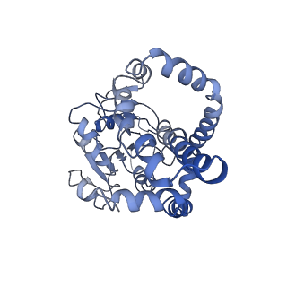 9801_6jd1_G_v1-2
Cryo-EM Structure of Sulfolobus solfataricus ketol-acid reductoisomerase (Sso-KARI) in complex with Mg2+, NADH, and CPD at pH7.5