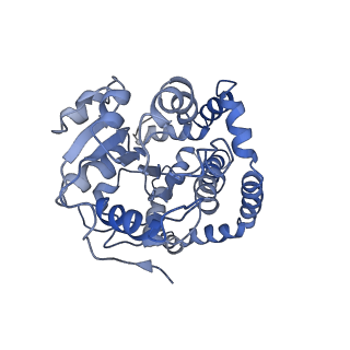 9801_6jd1_H_v1-1
Cryo-EM Structure of Sulfolobus solfataricus ketol-acid reductoisomerase (Sso-KARI) in complex with Mg2+, NADH, and CPD at pH7.5