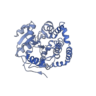 9801_6jd1_H_v1-2
Cryo-EM Structure of Sulfolobus solfataricus ketol-acid reductoisomerase (Sso-KARI) in complex with Mg2+, NADH, and CPD at pH7.5