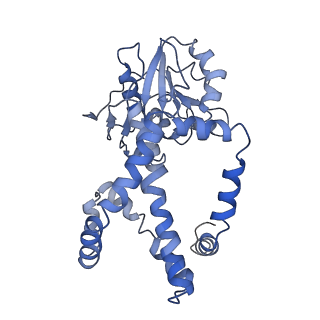 9801_6jd1_I_v1-1
Cryo-EM Structure of Sulfolobus solfataricus ketol-acid reductoisomerase (Sso-KARI) in complex with Mg2+, NADH, and CPD at pH7.5