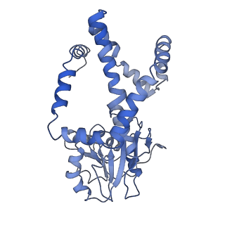 9801_6jd1_J_v1-1
Cryo-EM Structure of Sulfolobus solfataricus ketol-acid reductoisomerase (Sso-KARI) in complex with Mg2+, NADH, and CPD at pH7.5