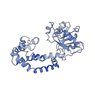 9801_6jd1_K_v1-2
Cryo-EM Structure of Sulfolobus solfataricus ketol-acid reductoisomerase (Sso-KARI) in complex with Mg2+, NADH, and CPD at pH7.5