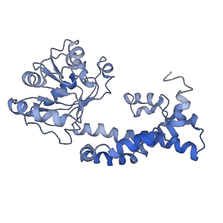 9801_6jd1_L_v1-1
Cryo-EM Structure of Sulfolobus solfataricus ketol-acid reductoisomerase (Sso-KARI) in complex with Mg2+, NADH, and CPD at pH7.5