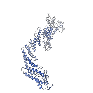 36182_8je1_A_v1-0
An asymmetry dimer of the Cul2-Rbx1-EloBC-FEM1B ubiquitin ligase complexed with BEX2