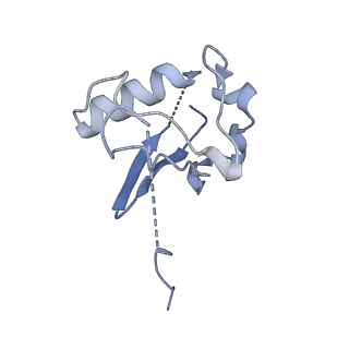 36182_8je1_B_v1-0
An asymmetry dimer of the Cul2-Rbx1-EloBC-FEM1B ubiquitin ligase complexed with BEX2