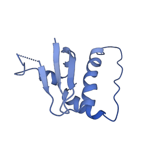 36182_8je1_C_v1-0
An asymmetry dimer of the Cul2-Rbx1-EloBC-FEM1B ubiquitin ligase complexed with BEX2