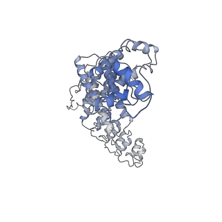 36182_8je1_D_v1-0
An asymmetry dimer of the Cul2-Rbx1-EloBC-FEM1B ubiquitin ligase complexed with BEX2