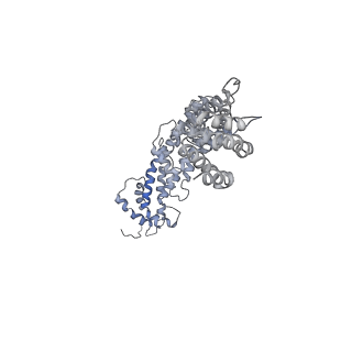 36182_8je1_F_v1-0
An asymmetry dimer of the Cul2-Rbx1-EloBC-FEM1B ubiquitin ligase complexed with BEX2