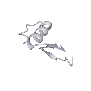 36182_8je1_G_v1-0
An asymmetry dimer of the Cul2-Rbx1-EloBC-FEM1B ubiquitin ligase complexed with BEX2