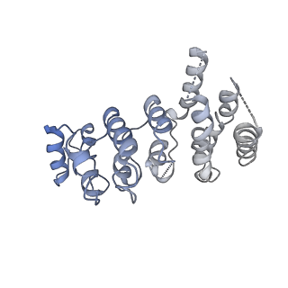 36182_8je1_I_v1-0
An asymmetry dimer of the Cul2-Rbx1-EloBC-FEM1B ubiquitin ligase complexed with BEX2