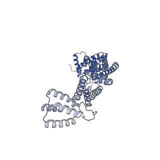 36183_8je2_A_v1-0
Cryo-EM structure of neddylated Cul2-Rbx1-EloBC-FEM1B complexed with FNIP1-FLCN