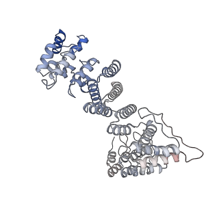 36183_8je2_D_v1-0
Cryo-EM structure of neddylated Cul2-Rbx1-EloBC-FEM1B complexed with FNIP1-FLCN