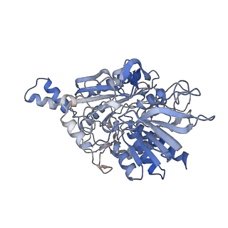 36190_8jej_A_v1-0
Cryo-EM Structure of Na-dithionite Reduced Membrane-bound Fructose Dehydrogenase from Gluconobacter japonicus
