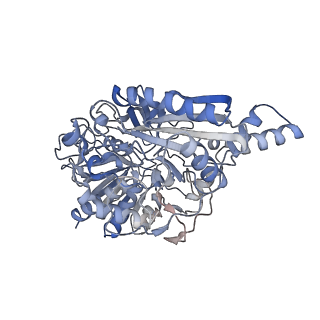 36191_8jek_A_v1-0
Cryo-EM Structure of K-ferricyanide Oxidized Membrane-bound Fructose Dehydrogenase from Gluconobacter japonicus