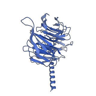 36193_8jer_B_v1-1
Structure of Acipimox-GPR109A-G protein complex