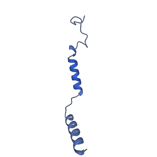 36193_8jer_G_v1-1
Structure of Acipimox-GPR109A-G protein complex