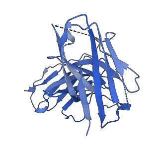 36193_8jer_H_v1-1
Structure of Acipimox-GPR109A-G protein complex