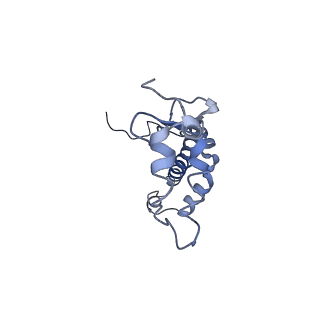 9807_6jeo_aF_v1-0
Structure of PSI tetramer from Anabaena