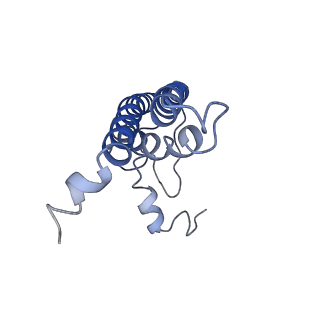 9807_6jeo_aL_v1-0
Structure of PSI tetramer from Anabaena