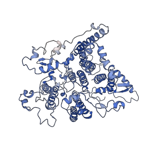9807_6jeo_bB_v1-0
Structure of PSI tetramer from Anabaena