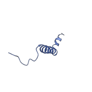 9807_6jeo_bJ_v1-0
Structure of PSI tetramer from Anabaena