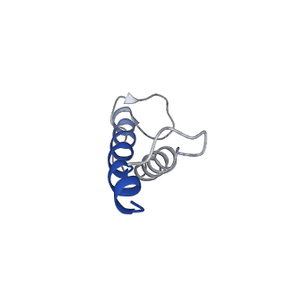 9807_6jeo_bK_v1-0
Structure of PSI tetramer from Anabaena