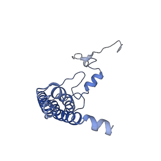 9807_6jeo_bL_v1-0
Structure of PSI tetramer from Anabaena