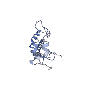9807_6jeo_cF_v1-0
Structure of PSI tetramer from Anabaena