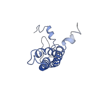 9807_6jeo_cL_v1-0
Structure of PSI tetramer from Anabaena