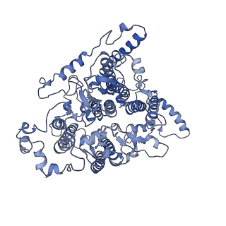 9807_6jeo_dA_v1-0
Structure of PSI tetramer from Anabaena