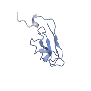 9807_6jeo_dC_v1-0
Structure of PSI tetramer from Anabaena