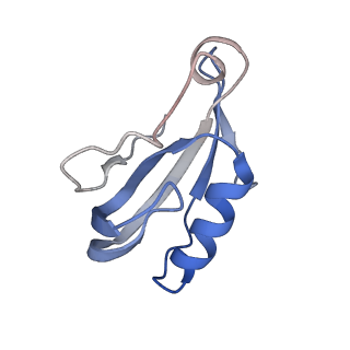9807_6jeo_dD_v1-0
Structure of PSI tetramer from Anabaena