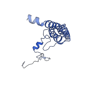 9807_6jeo_dL_v1-0
Structure of PSI tetramer from Anabaena