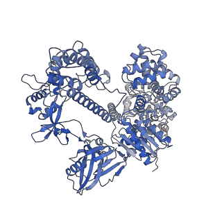 36217_8jft_A_v1-0
Cryo-EM structure of SaCas9-AcrIIA15 CTD-sgRNA complex