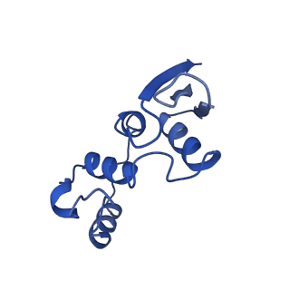 36217_8jft_C_v1-0
Cryo-EM structure of SaCas9-AcrIIA15 CTD-sgRNA complex