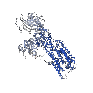 36220_8jfz_A_v1-1
Cryo-EM structure of Na+,K+-ATPase in the E1.Mg2+ state.