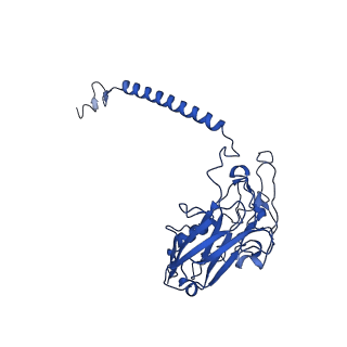 36220_8jfz_B_v1-1
Cryo-EM structure of Na+,K+-ATPase in the E1.Mg2+ state.