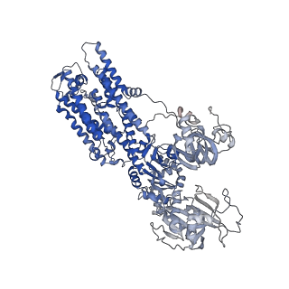 36220_8jfz_C_v1-1
Cryo-EM structure of Na+,K+-ATPase in the E1.Mg2+ state.