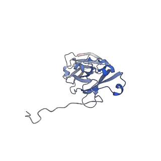 22309_7jg1_A_v1-0
Dimeric Immunoglobin A (dIgA)