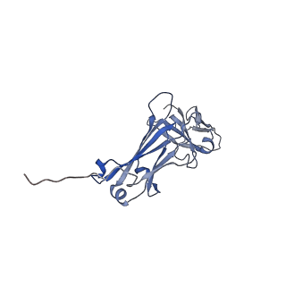 22309_7jg1_B_v1-0
Dimeric Immunoglobin A (dIgA)