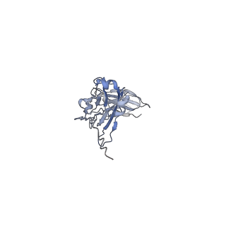 22310_7jg2_D_v1-0
Secretory Immunoglobin A (SIgA)