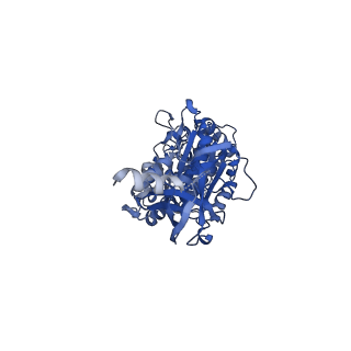 22311_7jg5_B_v1-0
Cryo-EM structure of bedaquiline-free Mycobacterium smegmatis ATP synthase rotational state 1