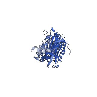 22311_7jg5_B_v2-3
Cryo-EM structure of bedaquiline-free Mycobacterium smegmatis ATP synthase rotational state 1