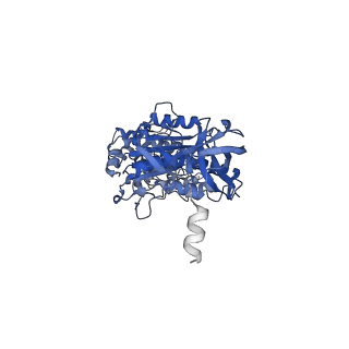 22311_7jg5_C_v2-2
Cryo-EM structure of bedaquiline-free Mycobacterium smegmatis ATP synthase rotational state 1