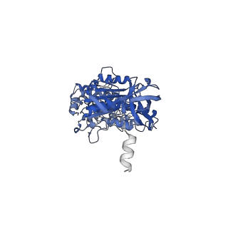 22311_7jg5_C_v2-3
Cryo-EM structure of bedaquiline-free Mycobacterium smegmatis ATP synthase rotational state 1