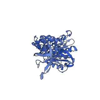 22311_7jg5_D_v1-0
Cryo-EM structure of bedaquiline-free Mycobacterium smegmatis ATP synthase rotational state 1