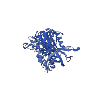 22311_7jg5_E_v1-0
Cryo-EM structure of bedaquiline-free Mycobacterium smegmatis ATP synthase rotational state 1