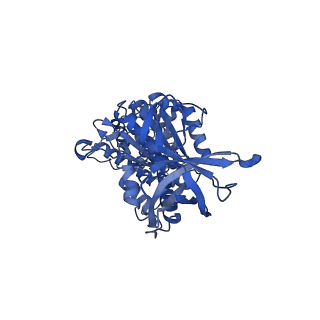 22311_7jg5_E_v2-3
Cryo-EM structure of bedaquiline-free Mycobacterium smegmatis ATP synthase rotational state 1